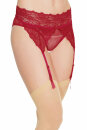 Coquette Suspender Panty Crotchless - Merlot